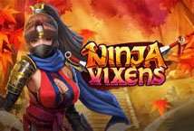 Ninja Vixens slot